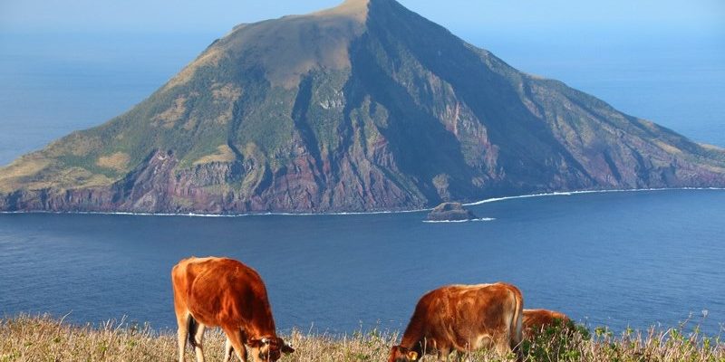 7月24日 オンラインあうたび 八丈島 あうたびオンラインツアー